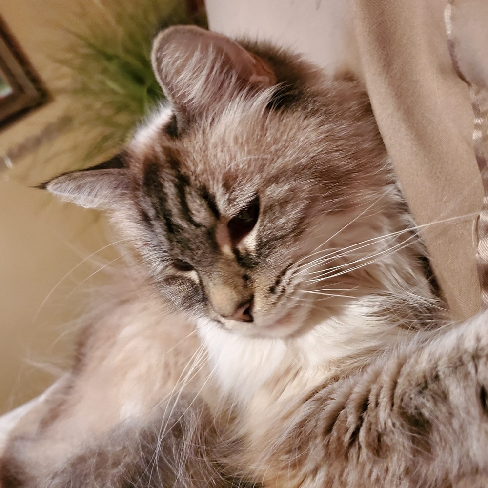 Meet your Posher, Jenn